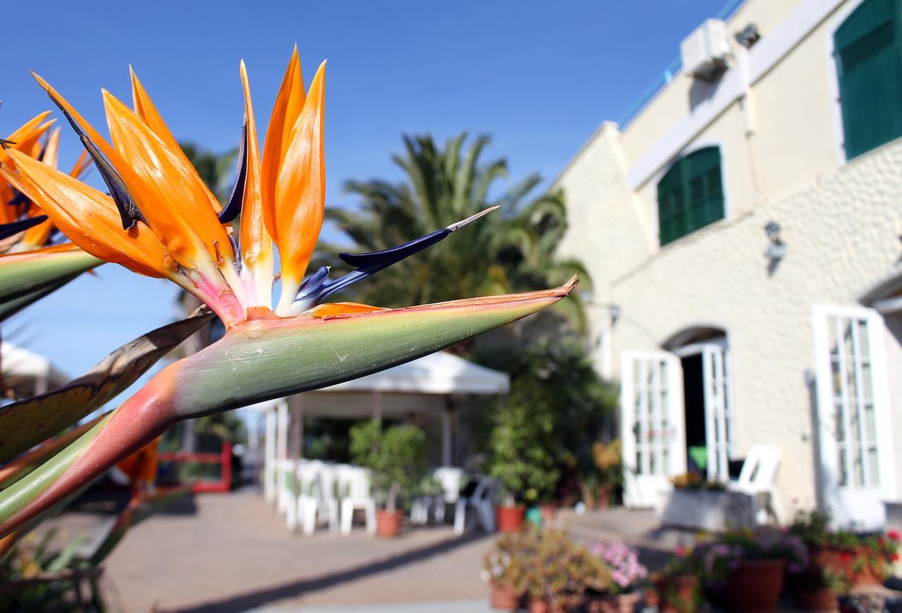 Albergo Ristorante Lucciola Санто-Стефано-аль-Маре Екстер'єр фото